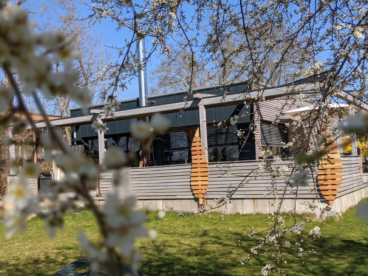 Ferienhaus Naturwerk Schwarzach am Main Ngoại thất bức ảnh